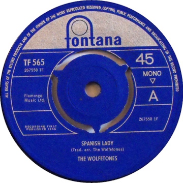 Give irishrock.org this record