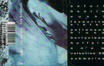 (cassette cover)